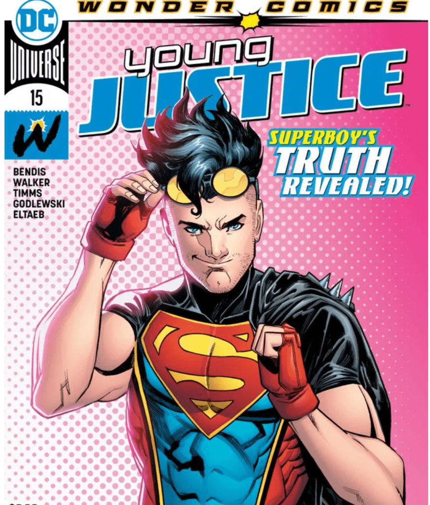 Young Justice 15 Cover